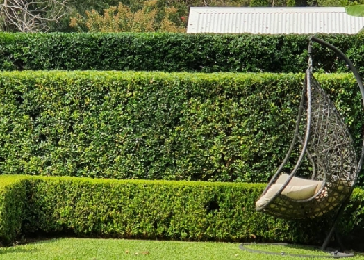 Get in Touch - Green Garden
