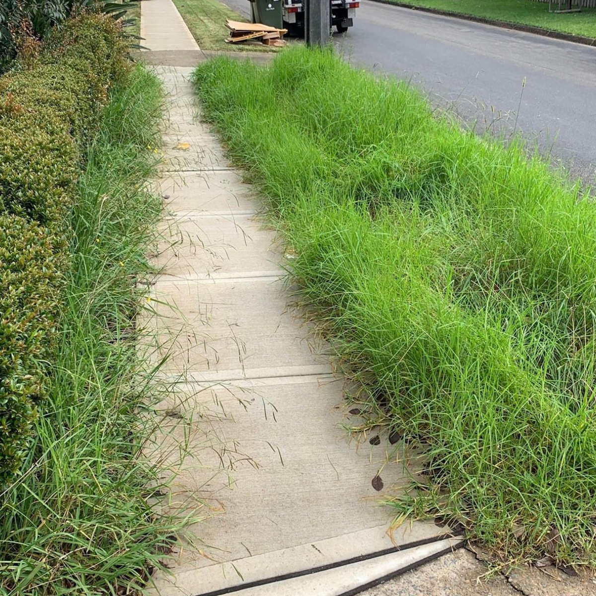 garden-lawn-maintenance-1a-before garden-lawn-maintenance-1a-before