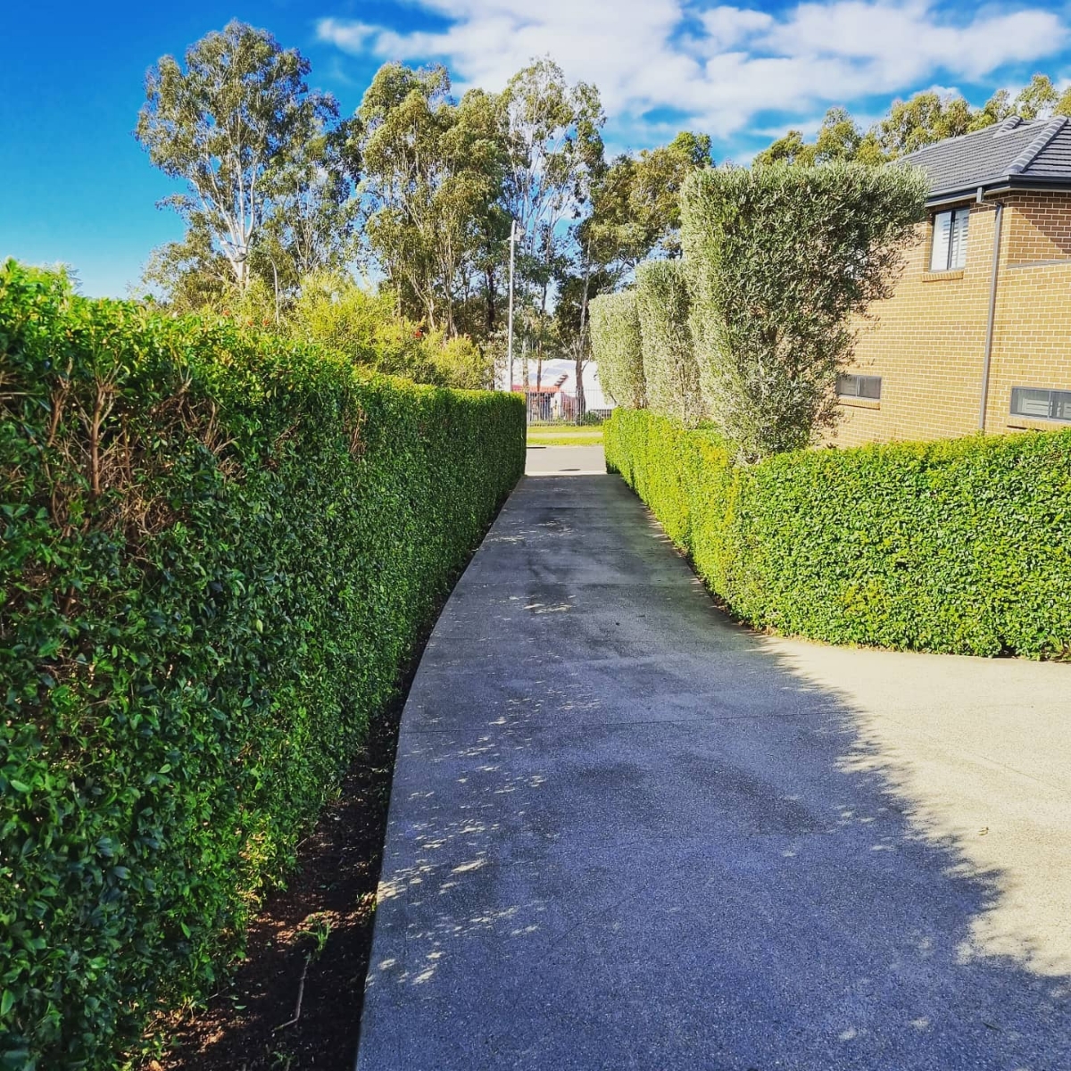 garden-lawn-maintenance-2b-after garden-lawn-maintenance-2b-after