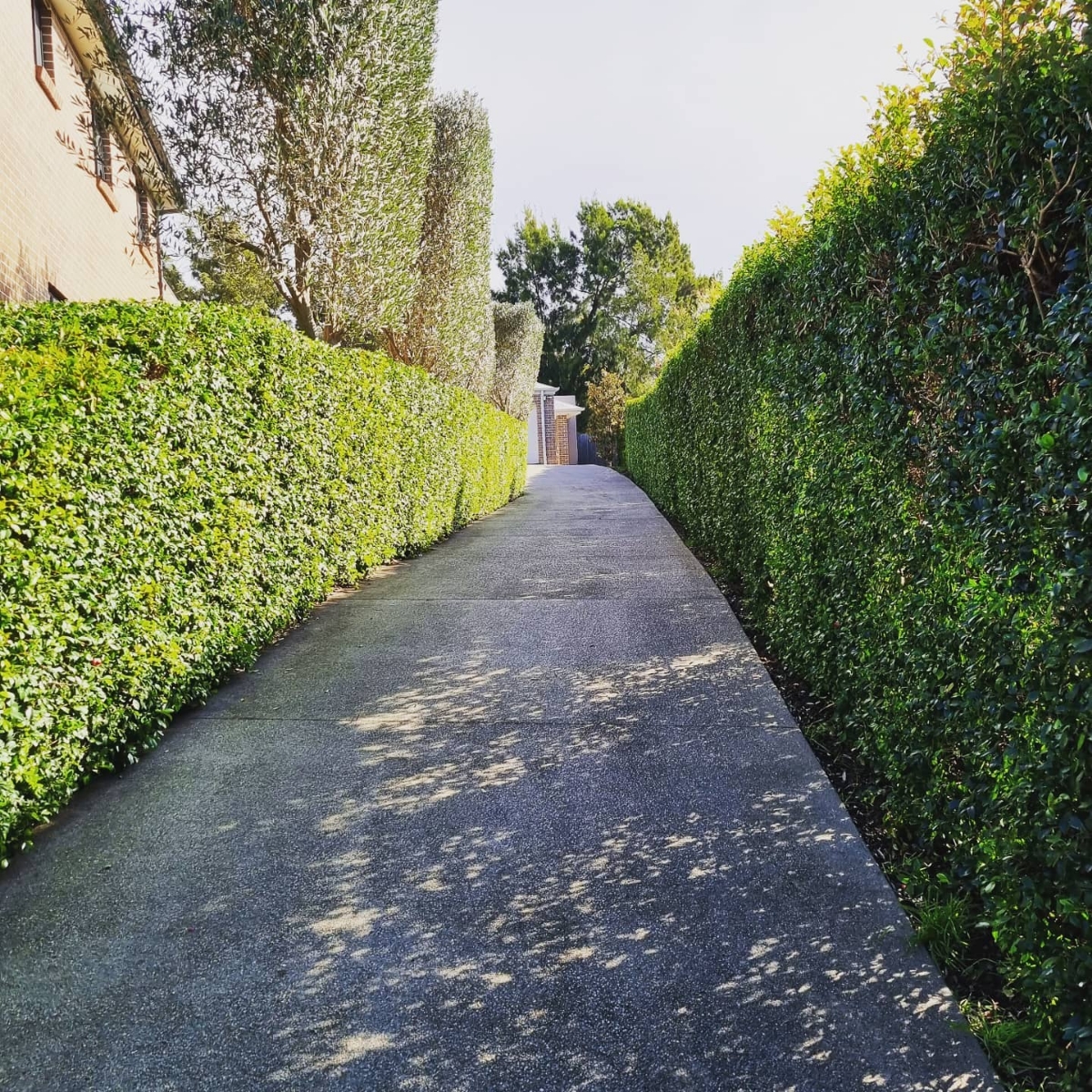 garden-lawn-maintenance-3b-after garden-lawn-maintenance-3b-after