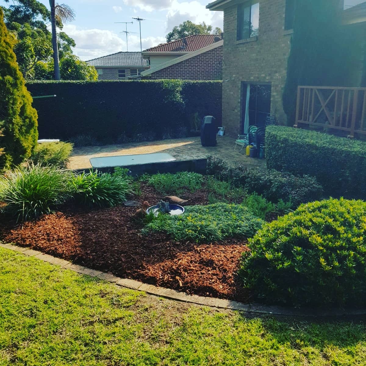 planting-mulching-5a-after planting-mulching-5a-after