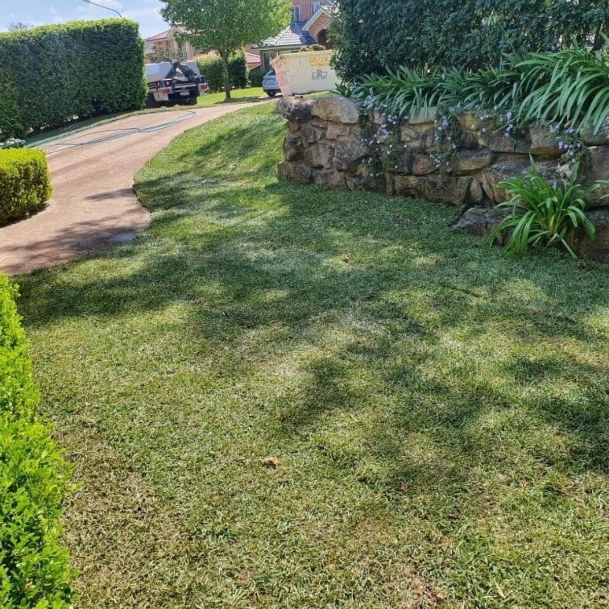 turfing-2a-after turfing-2a-after