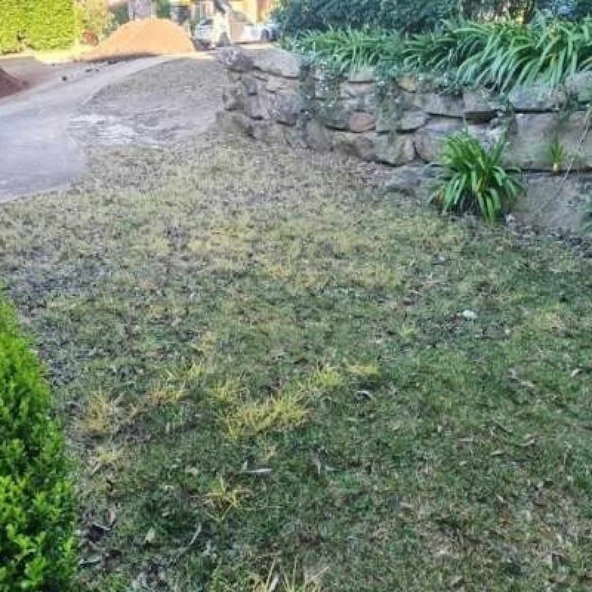 turfing-2a-before turfing-2a-before
