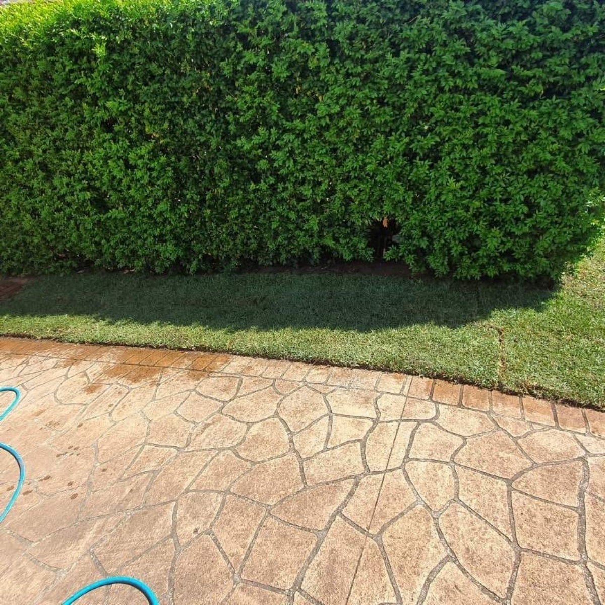 turfing-3a-after turfing-3a-after