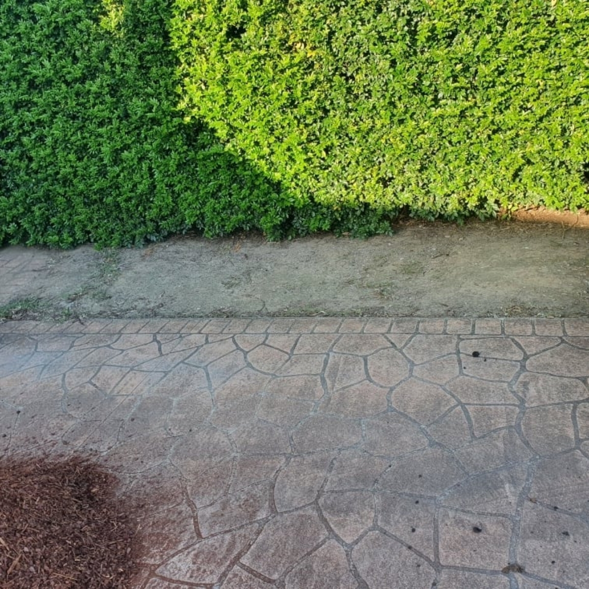 turfing-3a-before turfing-3a-before