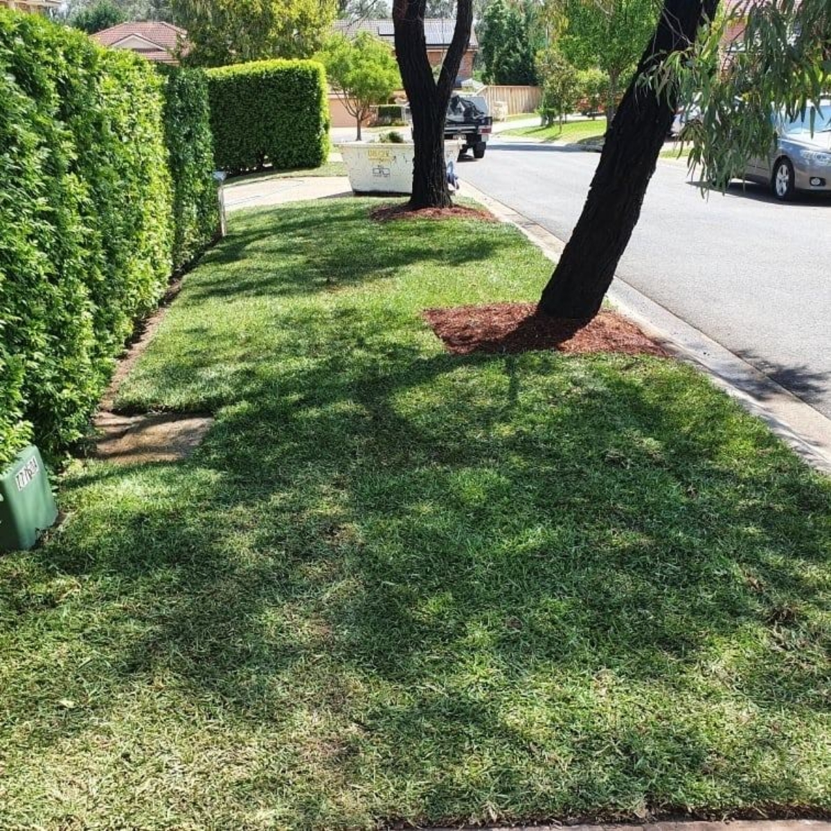 turfing-4a-after turfing-4a-after