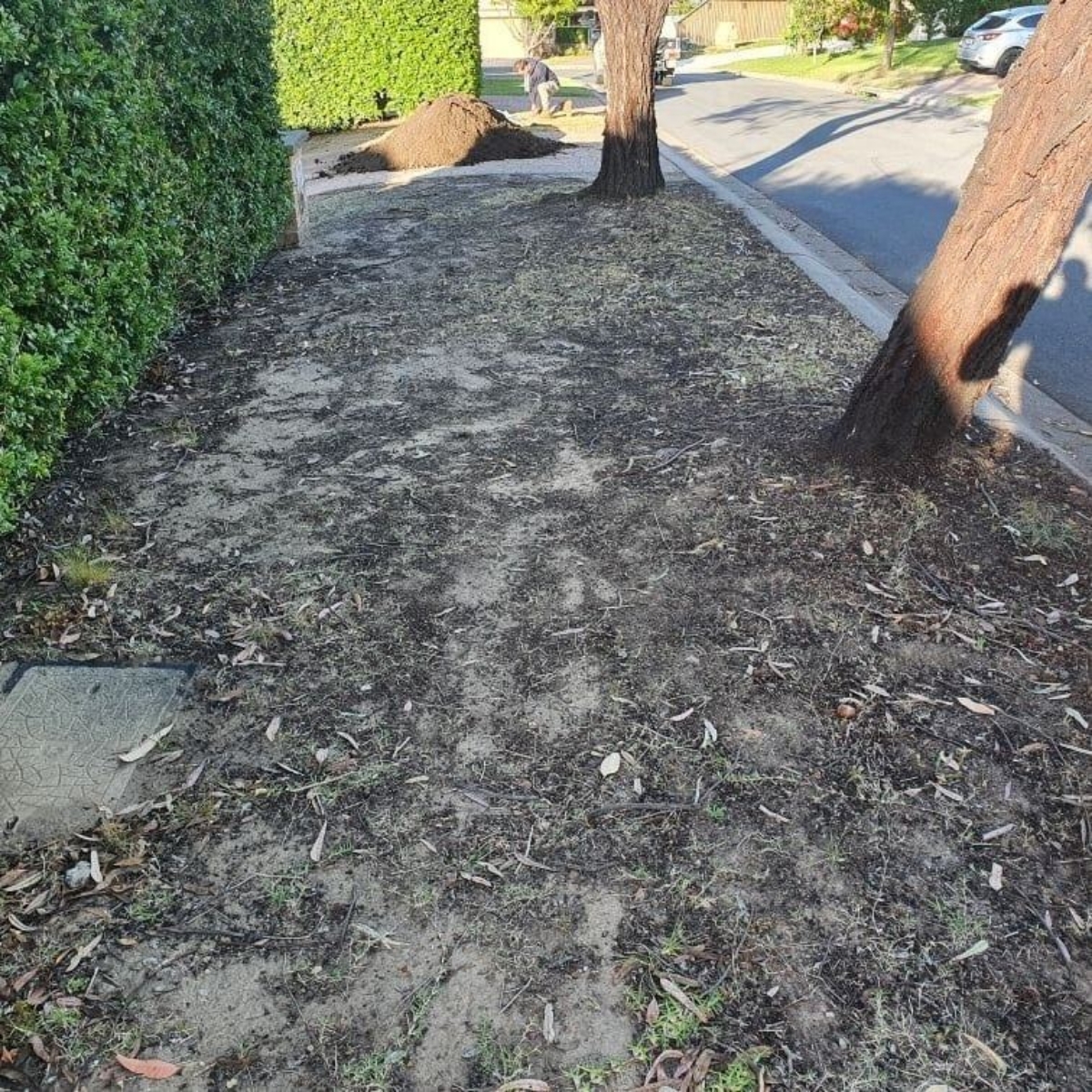 turfing-4a-before turfing-4a-before