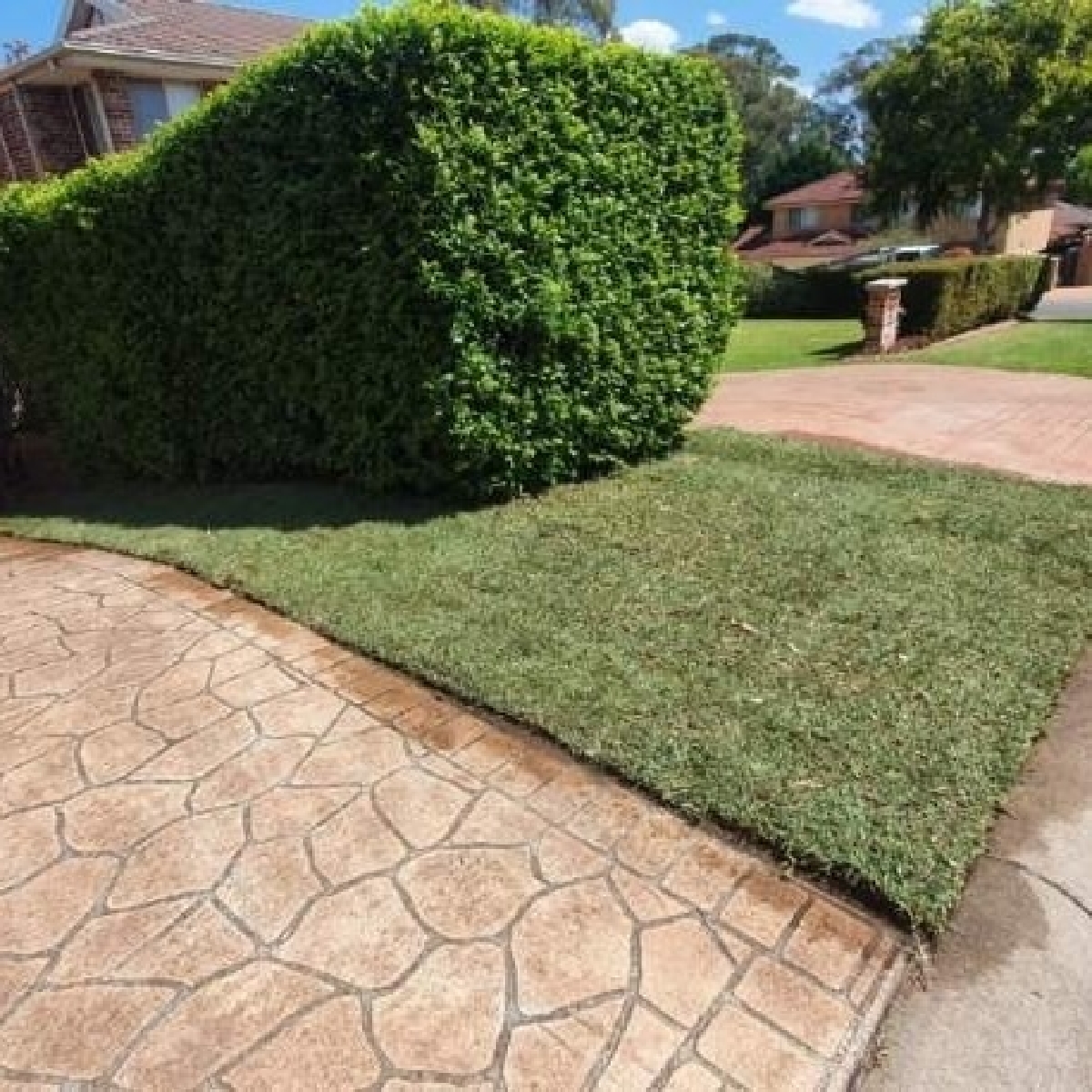 turfing-5a-after turfing-5a-after