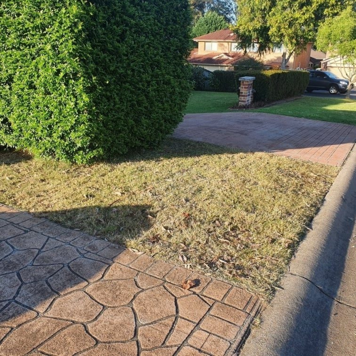 turfing-5a-before turfing-5a-before