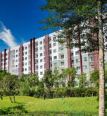 A mid-rise apartment building with a shared lawn, hedges and young trees in front