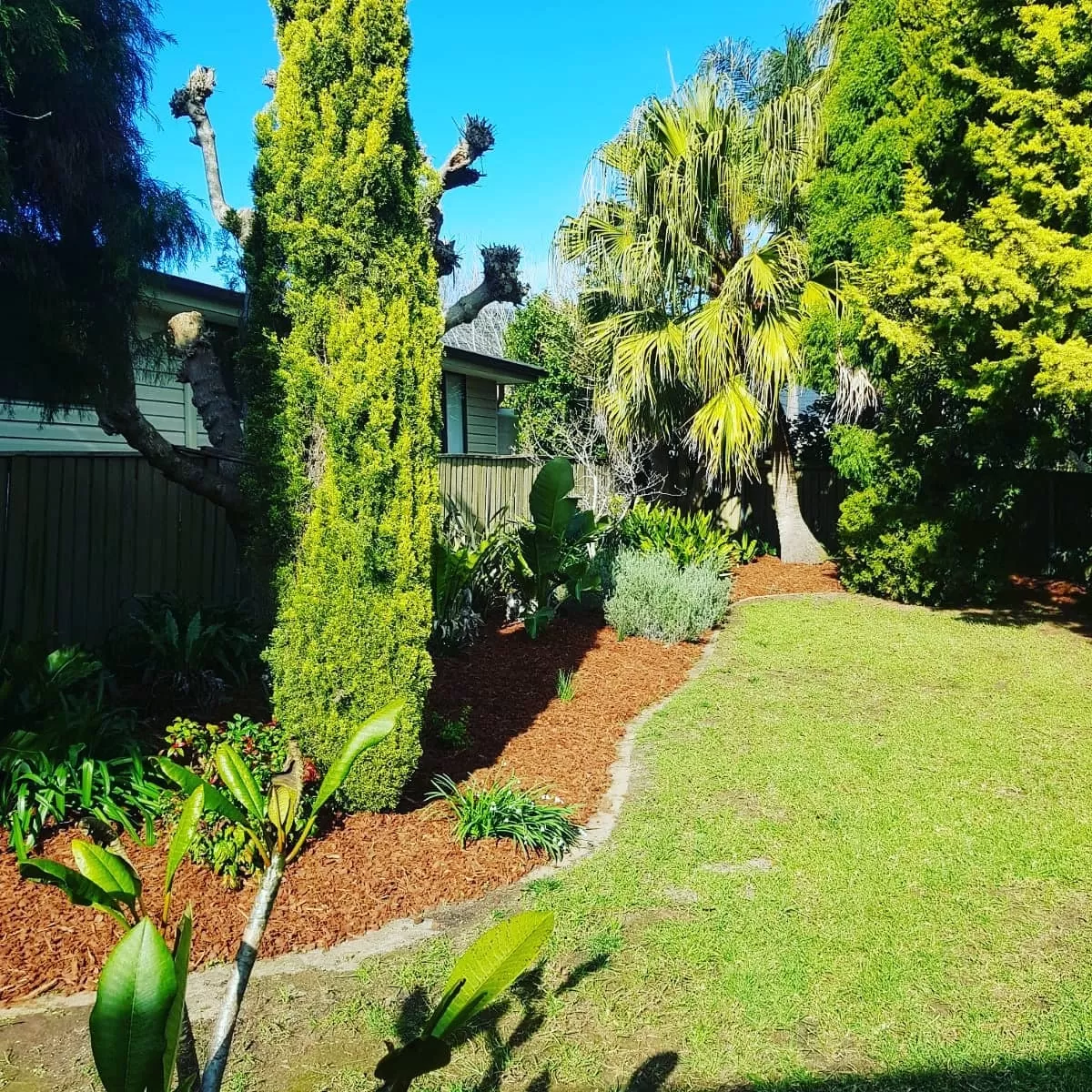 Planting, Fertilising & Mulching Greenz Gardenscaping