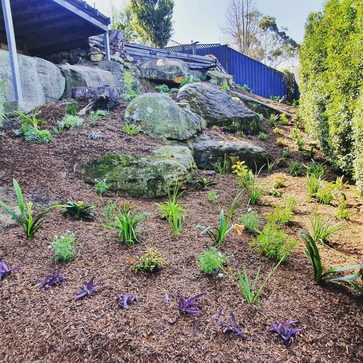 Planting, Fertilising & Mulching Greenz Gardenscaping